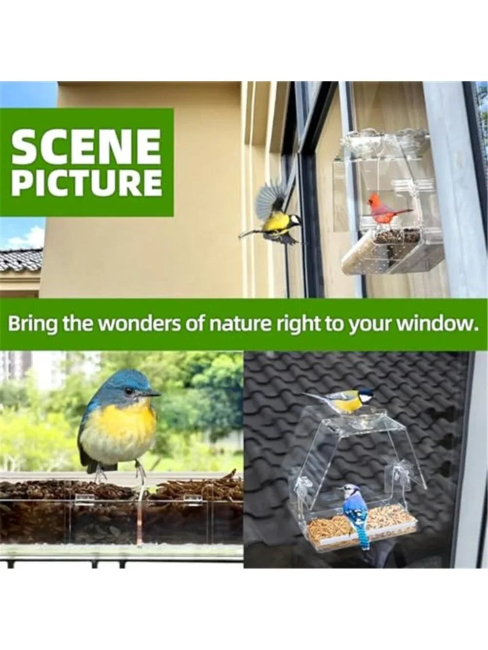 New Window Bird Feeder with Non-Marking Self-Adhesive Hooks, Clear and